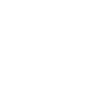 ALTERNATIVE INVESTMENT FUNDS (AIF'S)